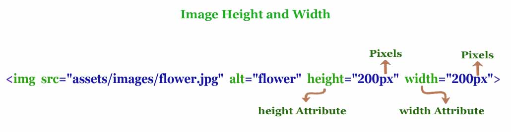 Image Height and Width