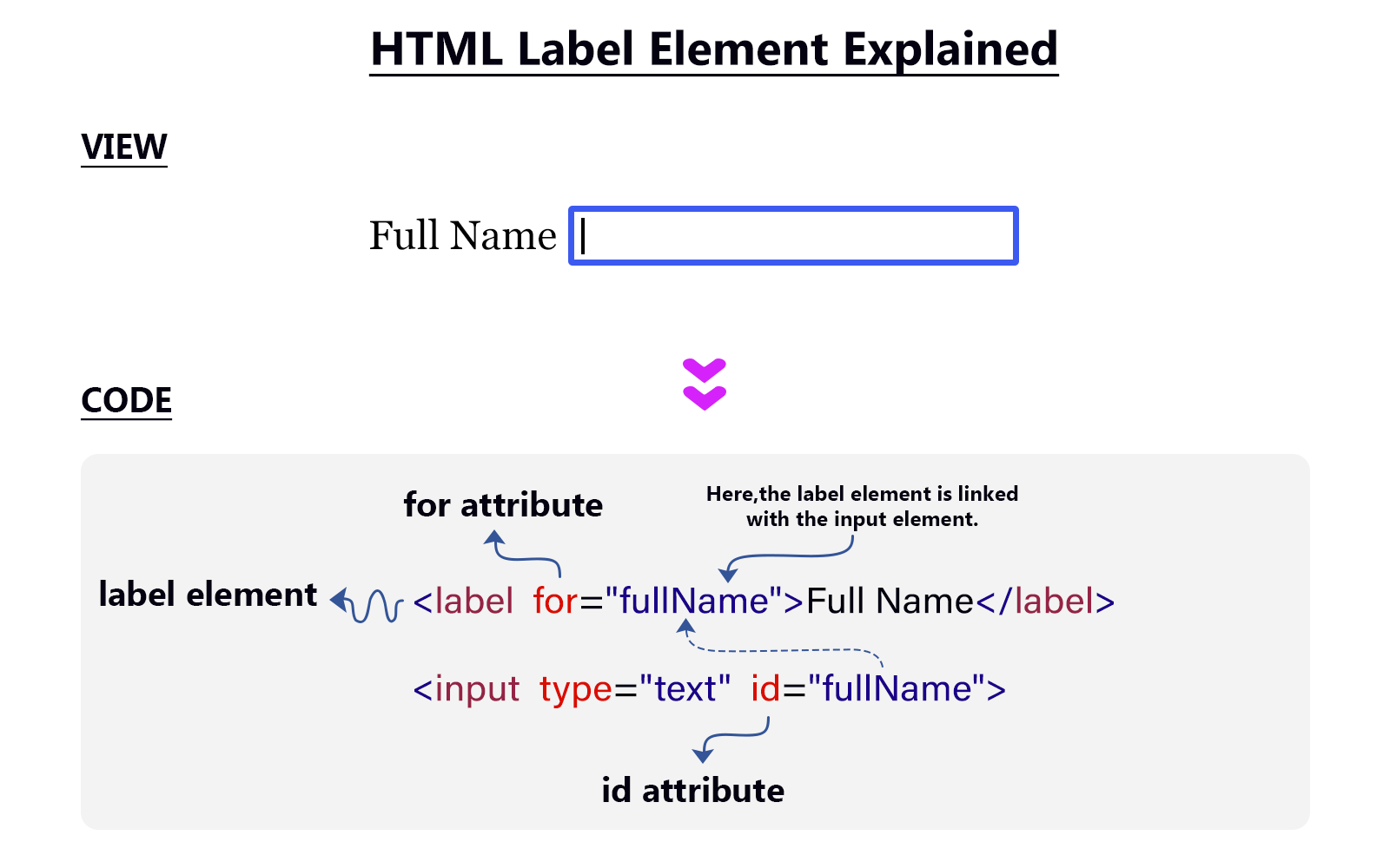 HTML label element explained with examples.